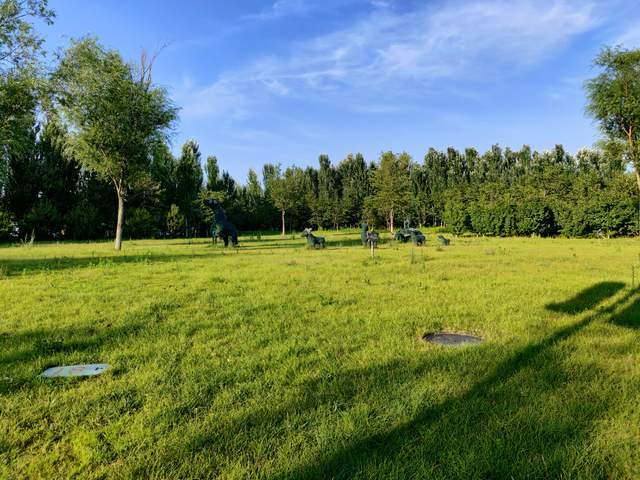 屏幕|OPPO Find X2 Pro，能够惊艳感官的旗舰手机