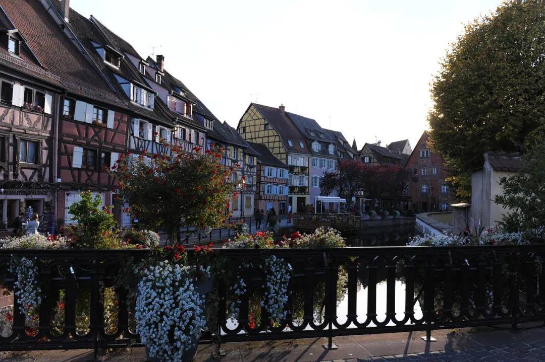 带八旬老人瑞士游（6）终结篇：欧洲最佳旅游城市和葡萄酒之路