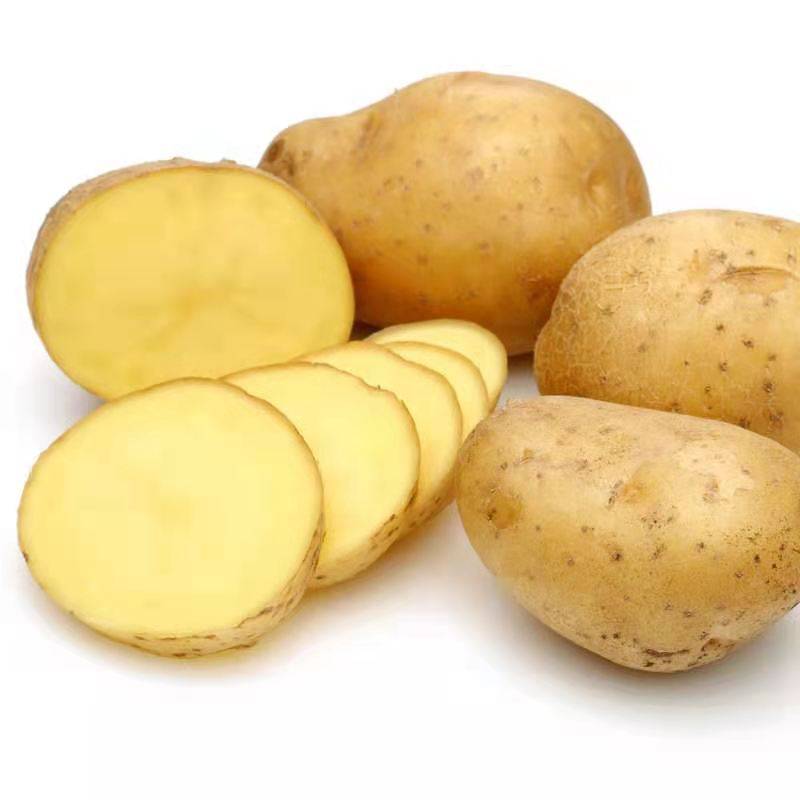 什么土豆要等三年才吃 216f03595ddf4f2e8ecc30dea7814a9e.jpeg