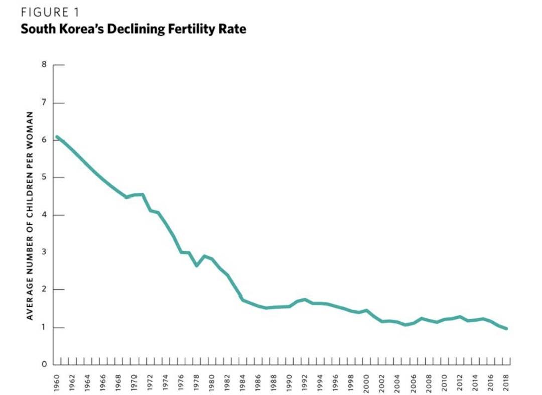 韩国人口负增长 房价_韩国人口(3)