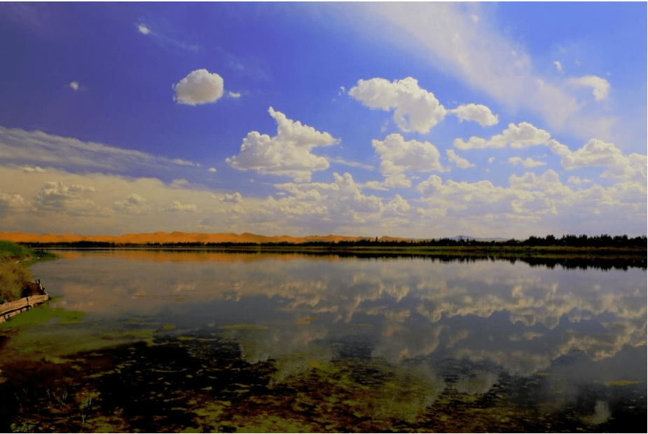 银川中学排行榜_宁夏高中排名中,银川市第一中学排名第一,第二和第三是这两所学校