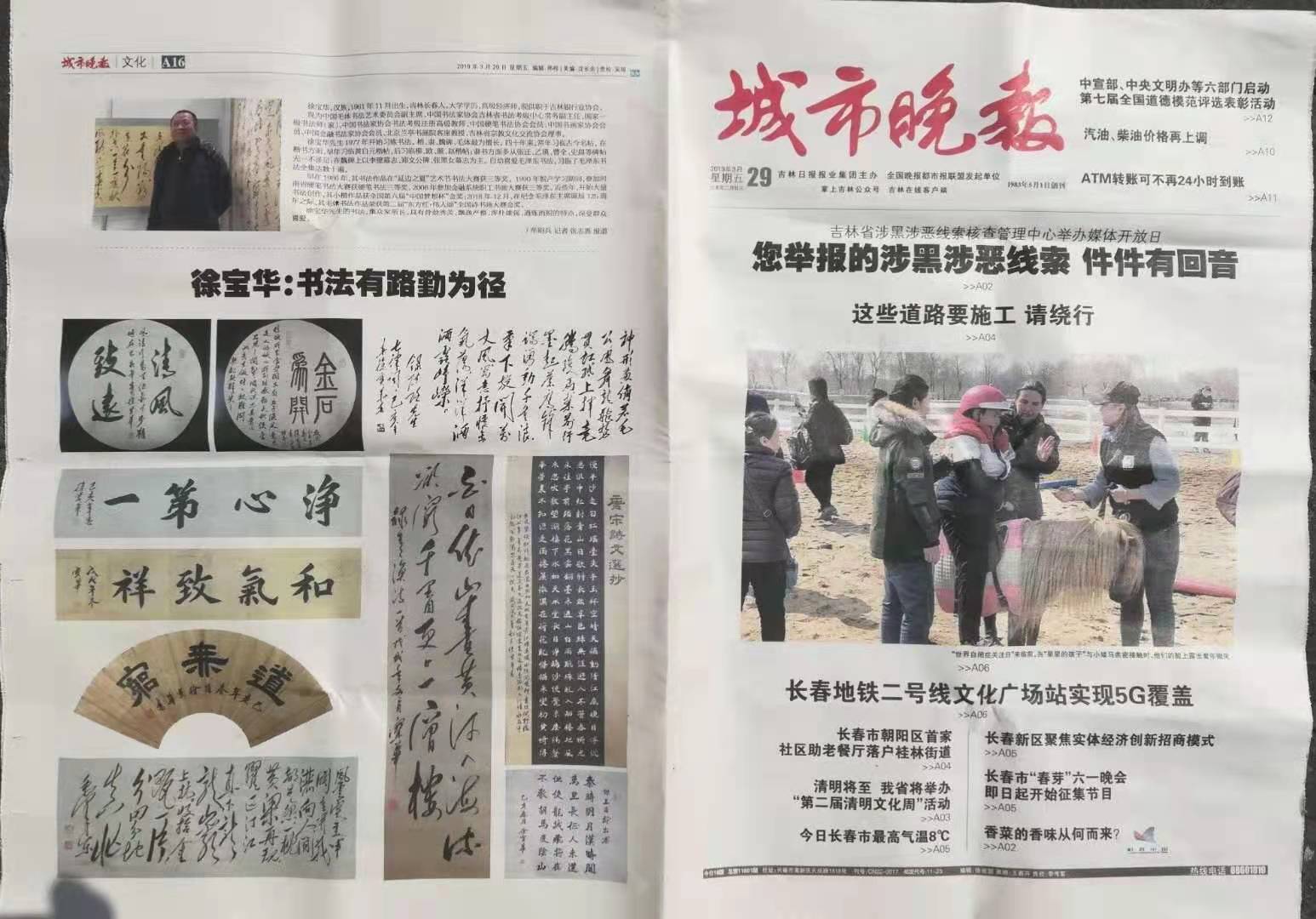 名人风采当代实力派书法家徐宝华