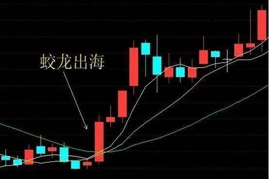 蛟龙出海形态深度解析,看懂丑小鸭变白天鹅【实战图解】