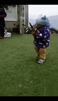 搞笑gif段子:二哈:妈妈从小就告诉我,不管什么事要雨露均沾