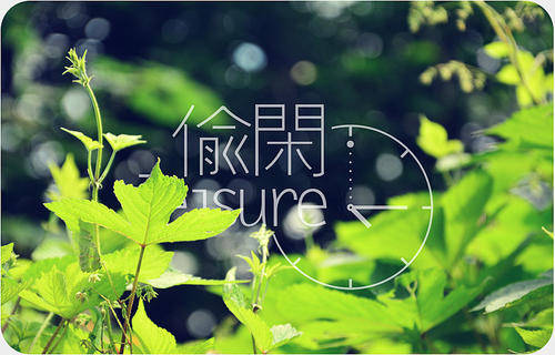 诗人口头禅_贾冰口头禅漂亮表情包