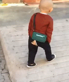 原创搞笑gif段子:5,能把车开上三楼,这哥们才是真正的老司