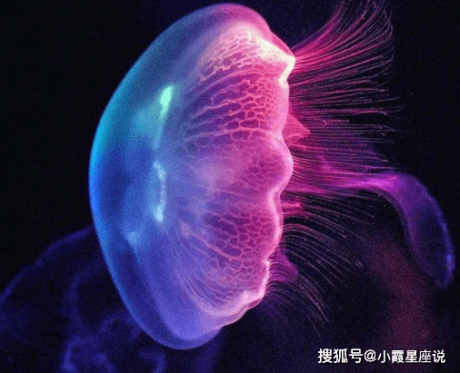 8ffceab2d94b464699f7bcea6eb70c3c.png