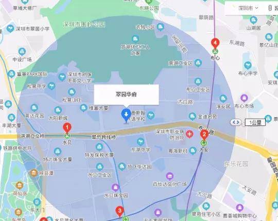 9,东立片区旧改(翠园华府 布心