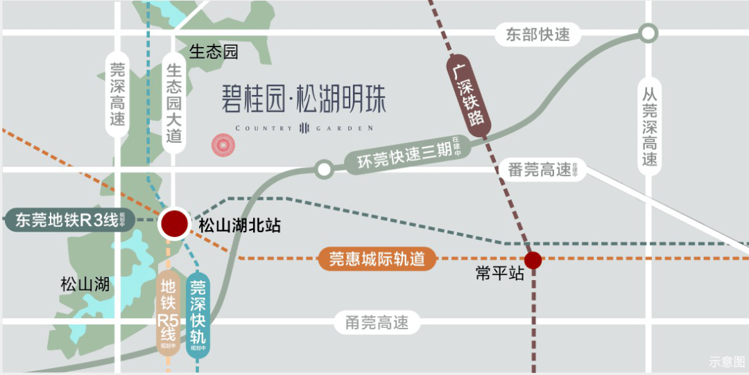 东莞横沥经济总量_东莞横沥科目二考场图(3)