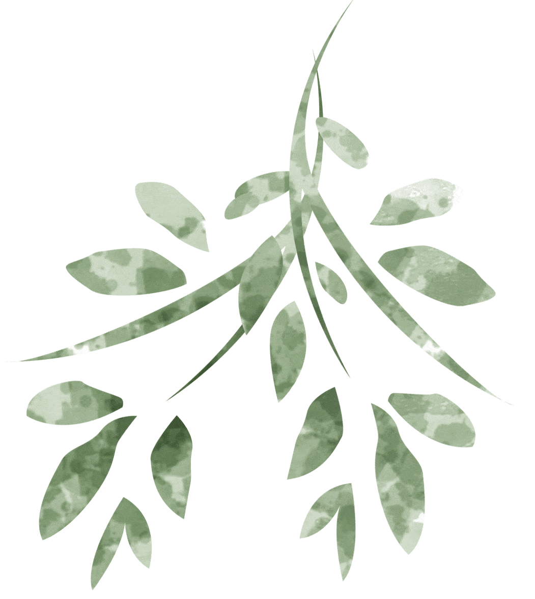 新年养生计划昨夜斗回北,今朝岁起东;我年已强仕,无禄尚忧农.