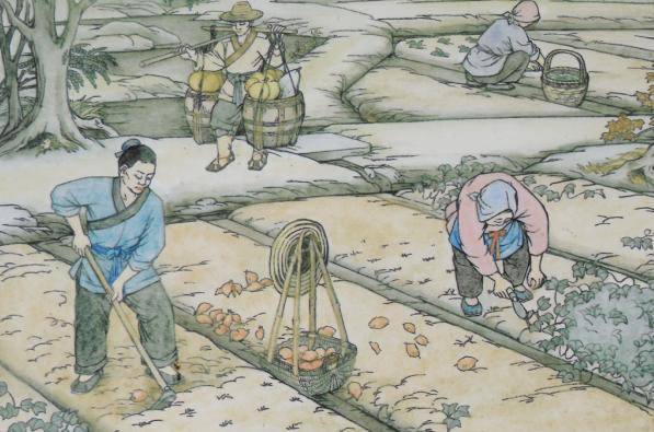 清朝人口猛增的原因_清朝人口密度(2)
