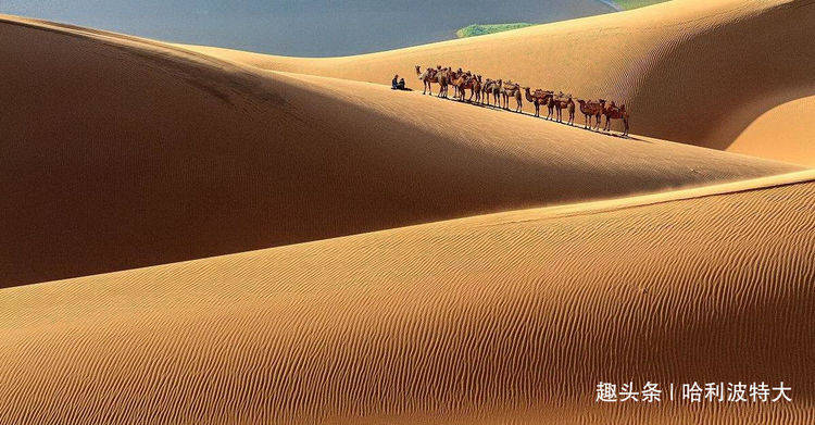 巴丹吉林：自驾游中国最美的大沙漠，这么玩就对了！