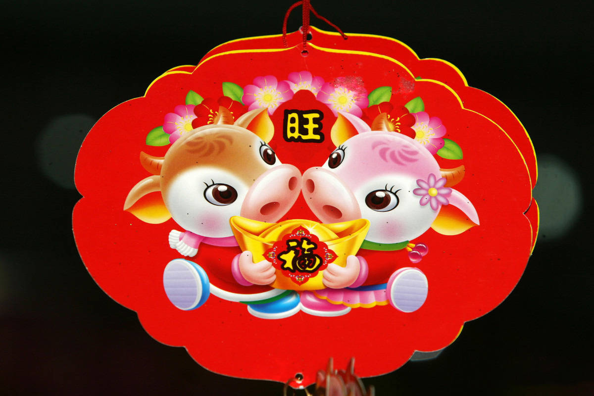 意大利多少人口2021_意大利人口(3)