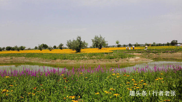 既有沙漠和湿地，还有度假岛，中国第四大沙漠宁夏腾格里沙漠