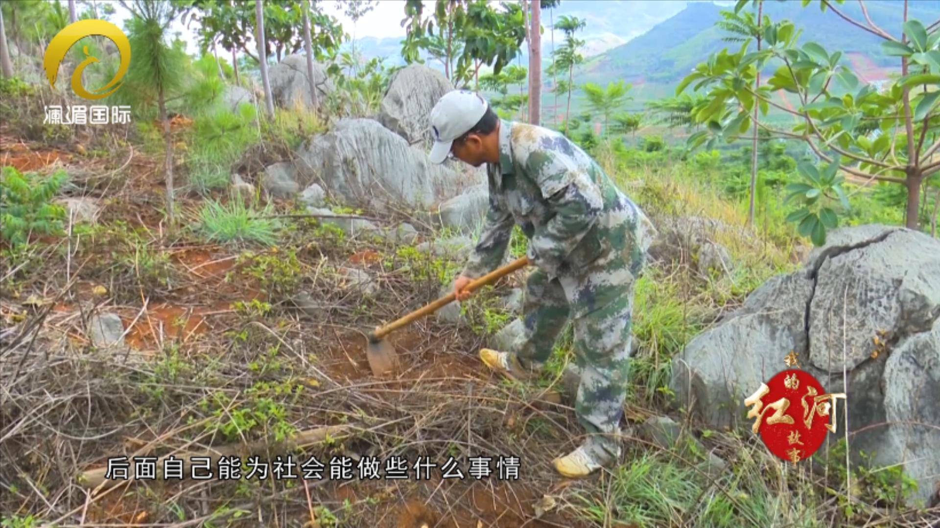 我的红河故事|熊学亮:身躬力行 种出绿水青山