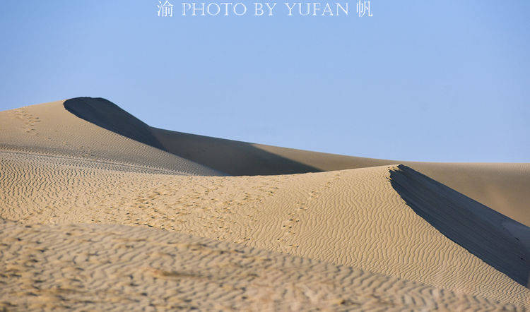 新疆天山南麓有个地方一半是沙漠，一半是湖泊，比5A级的沙湖还美