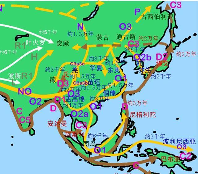 姬姓后代人口_人口普查(3)