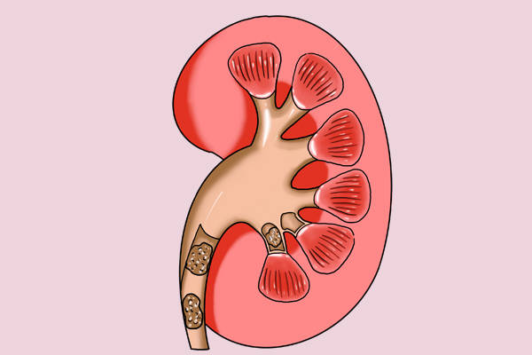 400633d421e8472ea2a1d39b63df4b34.jpeg
