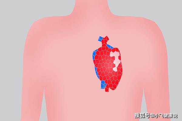 搭脉怎么知道怀孕_牛怀孕怎么知道