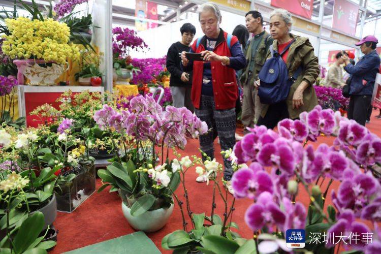 深圳、珠海、清远取消2021年的市级迎春花市