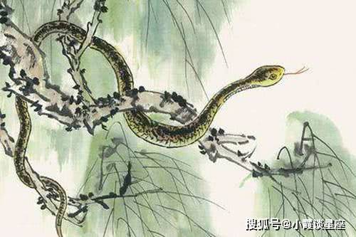 “今期猪龙蛇出特,夕阳西下江水东”指代表更佳什么生肖谜团精选释义解释 “今期猪龙蛇出特,夕阳西下江水东”指代表更佳什么生肖谜团精选释义解释