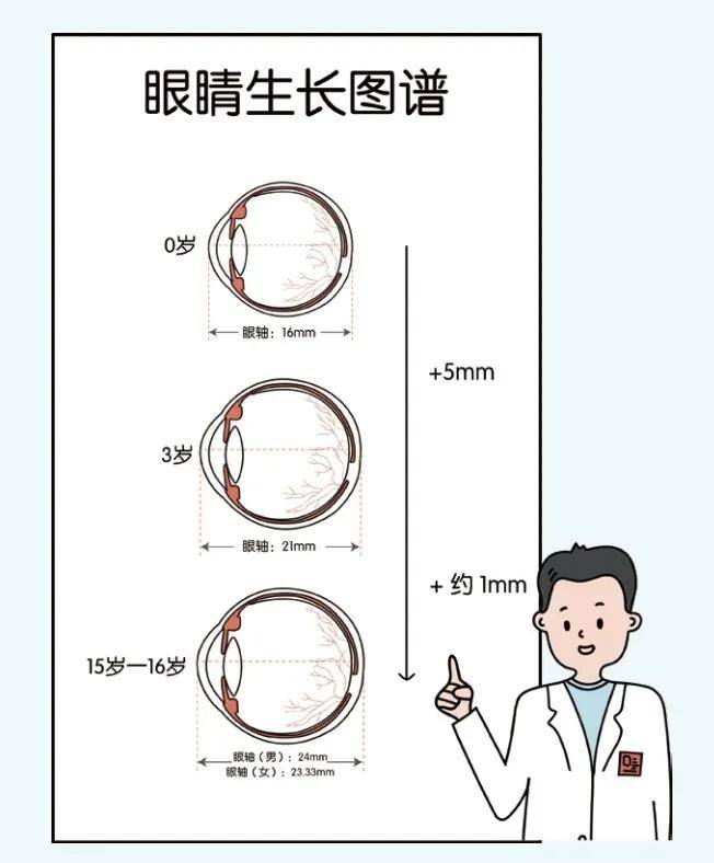 2019年中国成年人中肥胖占总人口_成年人的崩溃