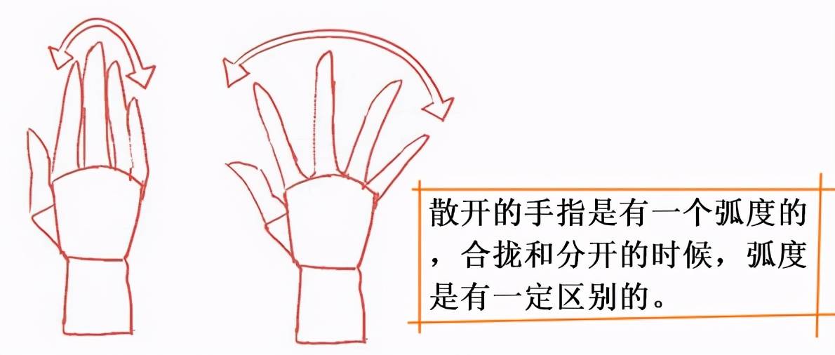 原创绘画新手如何练习画手萌新手部绘画练习画法教程