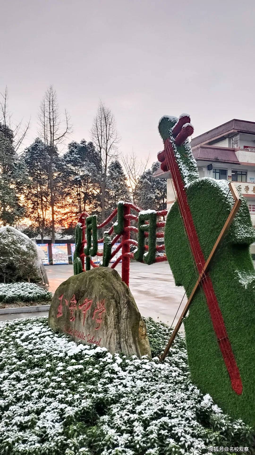 成都这盘雪到底有多大？惊艳全川！看看玉垒中学的雪景最美啦！