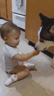 de09a40370264480a3a05d18cf1321e4.gif