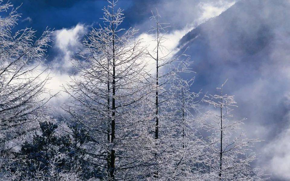 这份成都乡村玩雪地图请查收~