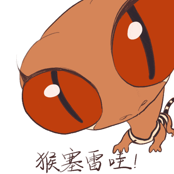 投票/动态作品 | 2020