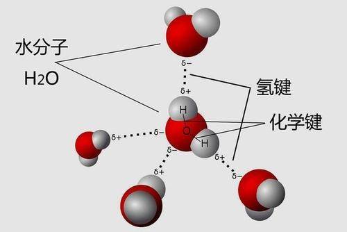 结合在一起的强效共价键与分子之间形成的弱氢键之间的鸿沟并不清晰