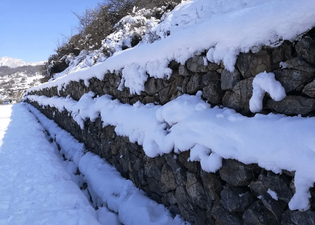 全国都冻哭了，唯有成都在雪季中兴奋，执念太深的城市