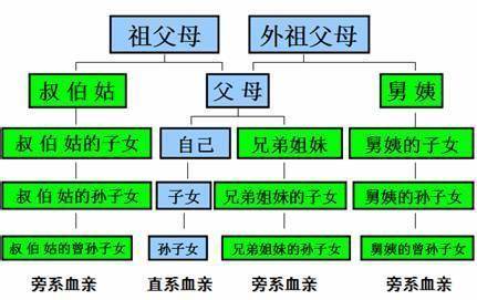 刑事诉讼中的近亲属包括:夫,妻,父,母,子,女,同胞兄弟姐妹