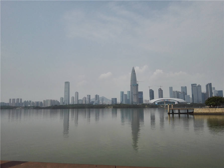 深圳湾沿途风景：等天气转暖了，还要再去骑行