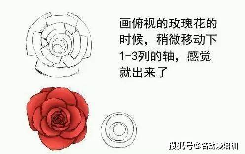 玫瑰花怎样画