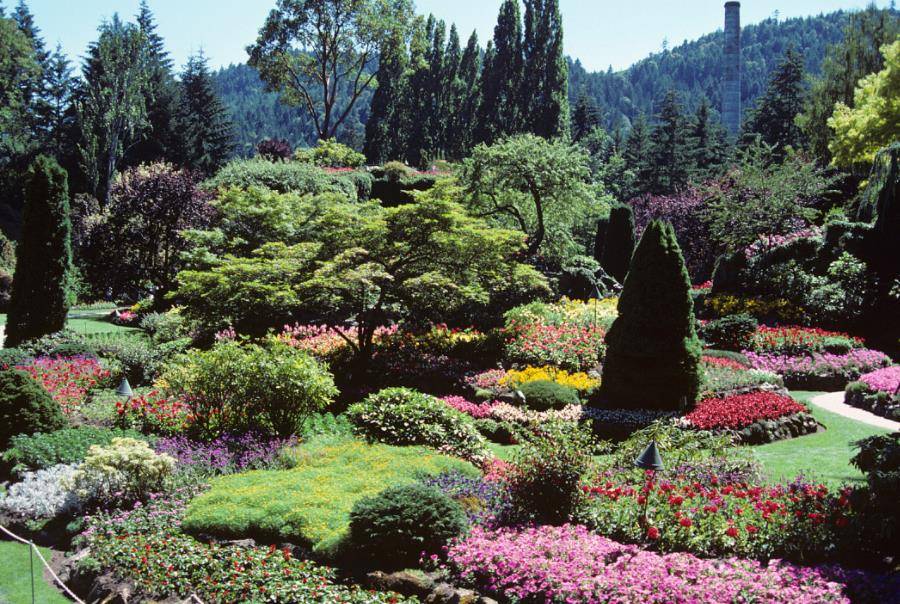 全球最美的家族花园，曾是废弃石矿场，如今变成爱丽丝仙境