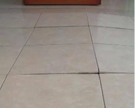 06a85601e37e4249ae85f500ab76901b.jpeg
