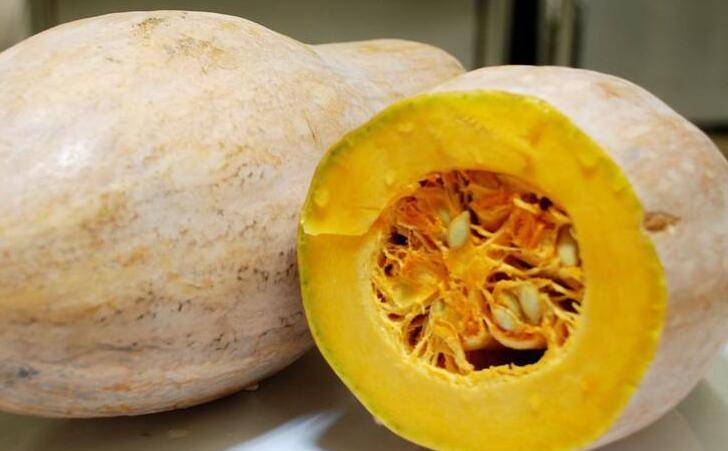 怎么晒南瓜片才好 c690b69df69041ff98f05e92d18abb41.jpeg