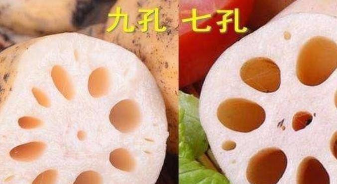 原创原来莲藕有七孔与九孔之分,口感差很多,不懂别乱买