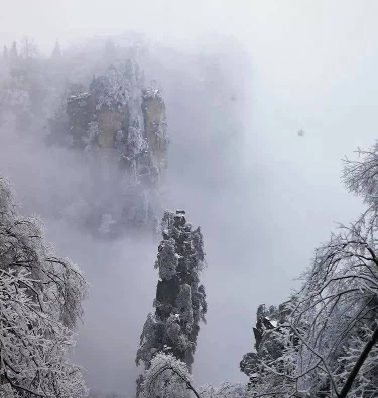 踏雪天子山,得遇武陵源_雪景