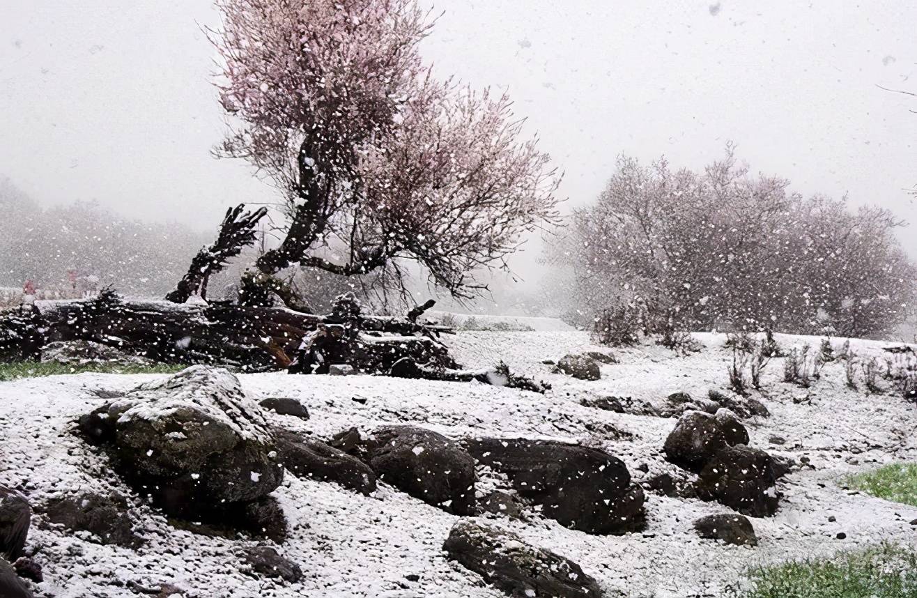 读了贾岛这首《雪晴晚望》,才明白除了寒冷,冬日还有静美