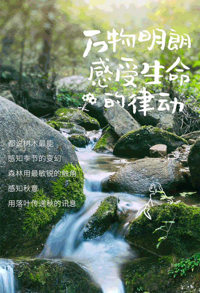 640_935 竖版 竖屏