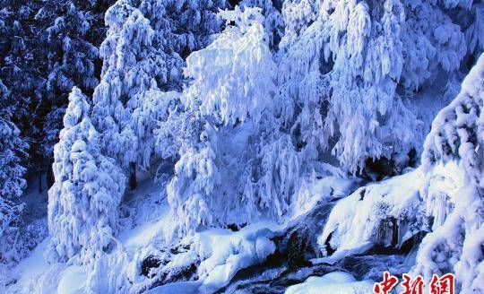 12月10日,新疆天山天池景区步道现冰雪奇观.
