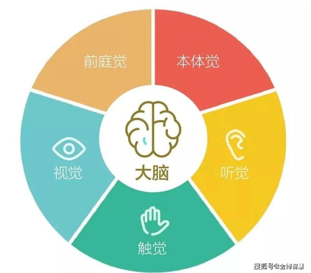 本体感觉对学校影响