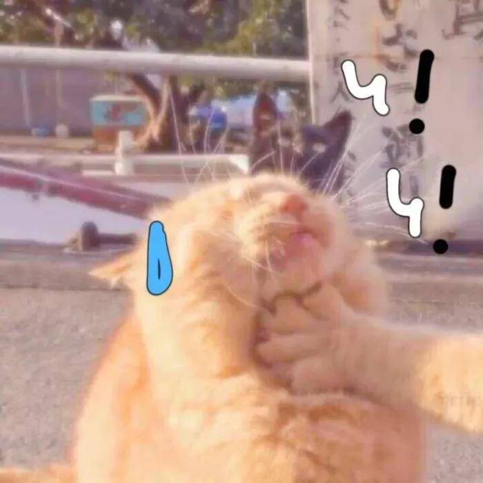 个性沙雕搞怪情头令人眼前一亮的发圈文案