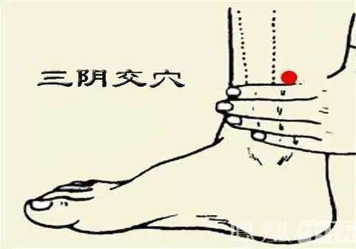 妇科三阴交,你不可不知的一大养生穴位