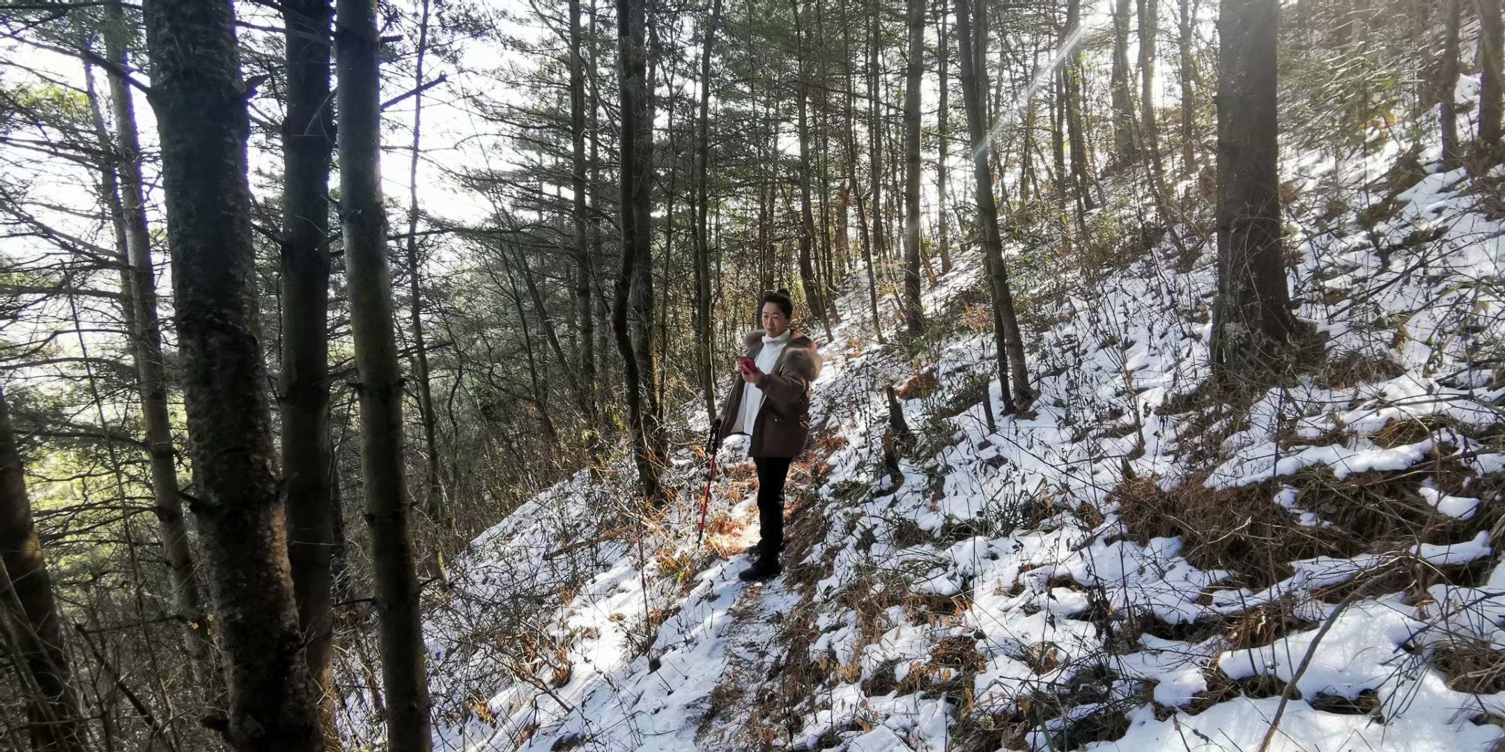 广元尖山子海拔1700米,层峦叠嶂千峰竞秀,来回两个半小时!