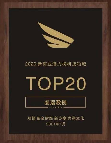 新商业潜力榜单出炉!泰瑞数创荣获新商业科技领域top20