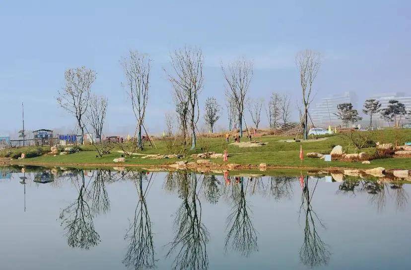 东安湖公园新景:春赏桃花,夏看荷田